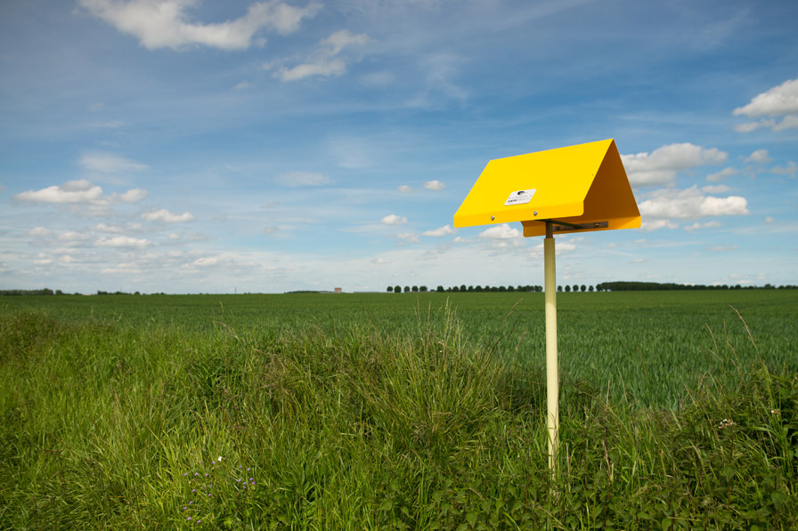 Balises de signalisation indiquant la présence d'une canalisation de transport de gaz naturel - photo : Luc Maréchaux