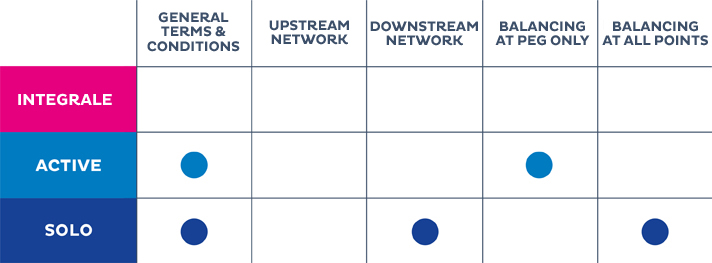 Customised transmission contract scheme