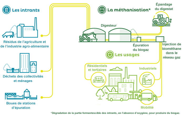 Schéma de la méthanisation à l&apos;injection : les étapes clés