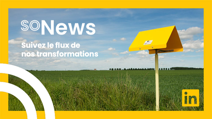 soNews sur LinkedIn