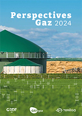 Perspectives gaz 2024