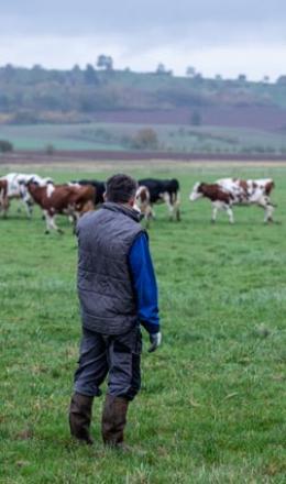 Nous apportons aux agriculteurs des revenus complémentaires