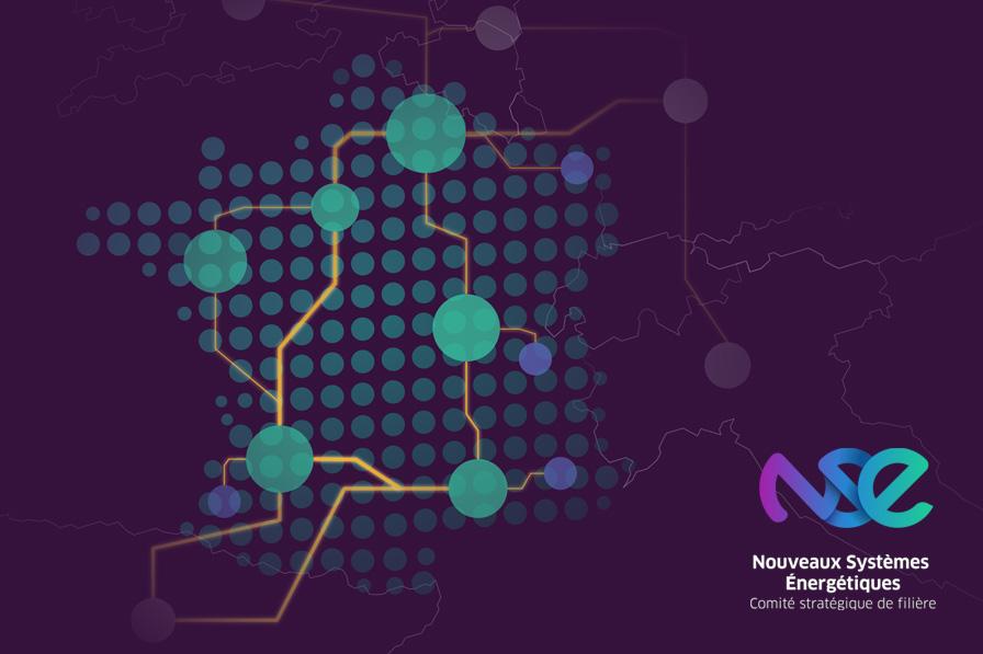 Logo NSE (Nouveaux Systèmes Energétiques)